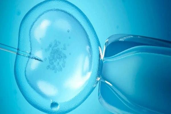 Embryoland IVF Center Athens医院代孕技术优势
