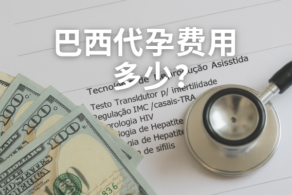 巴西代孕费用